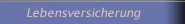 Lebensversicherung