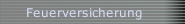 Feuerversicherung